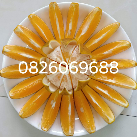 Cam lòng vàng Cao Phong